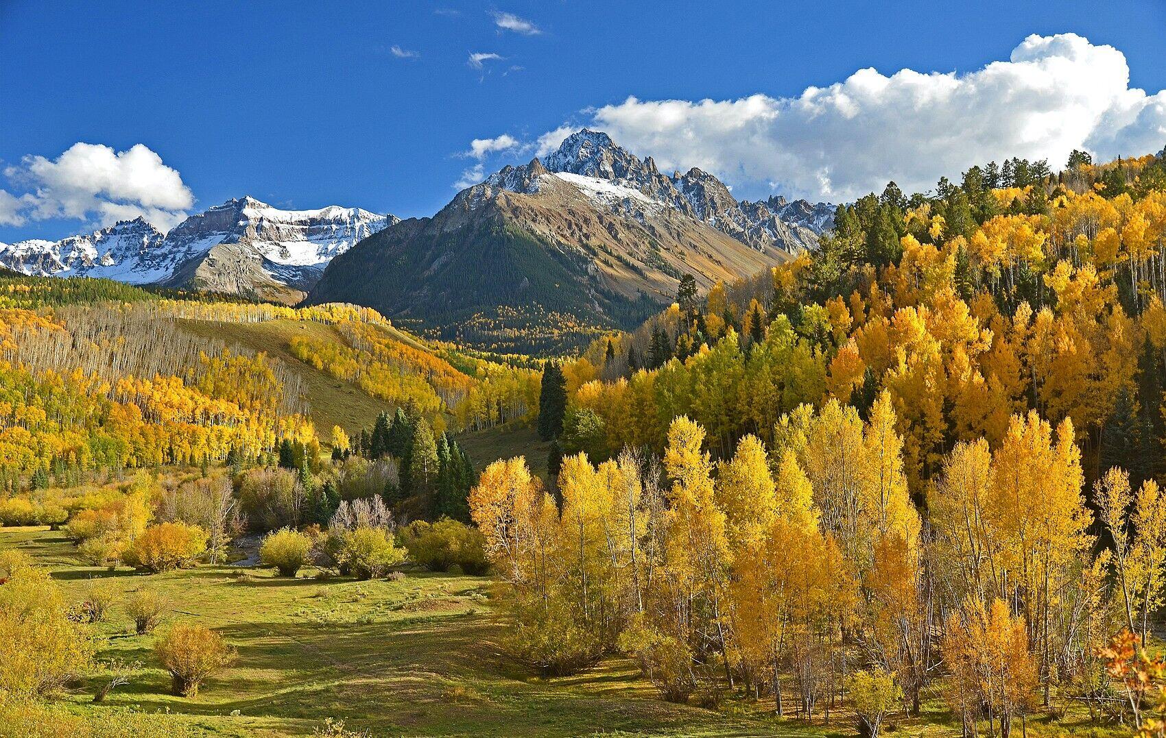 Berge Wald Wohnmobil Vorhang
